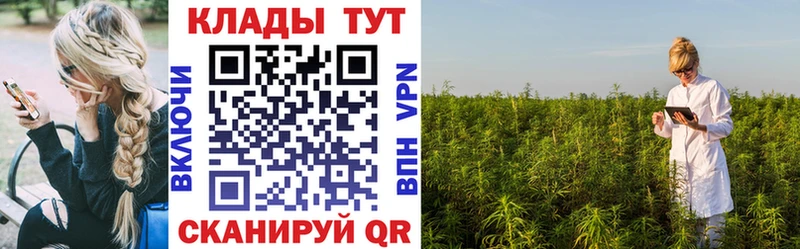 Где купить Курлово СК МАРИХУАНА Меф мяу мяу АМФЕТАМИН Cocaine ГАШИШ