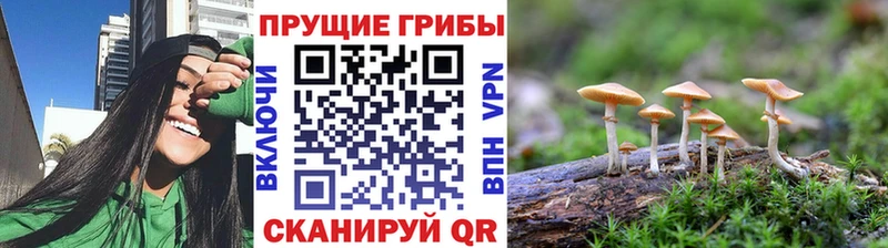 Псилоцибиновые грибы мицелий  Курлово 